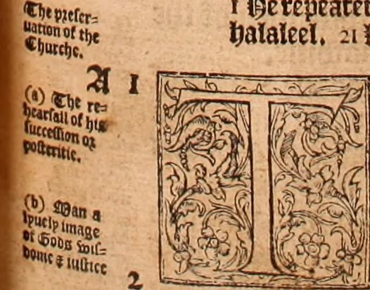 An illustration from The Holie Bible : conteynyng the Olde Testament and the Newe, 1568, leaf 56