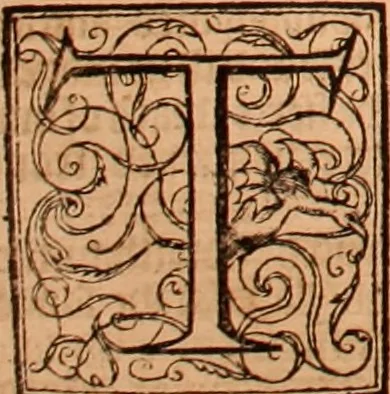 An illustration from The Holie Bible : conteynyng the Olde Testament and the Newe, 1568, leaf 621