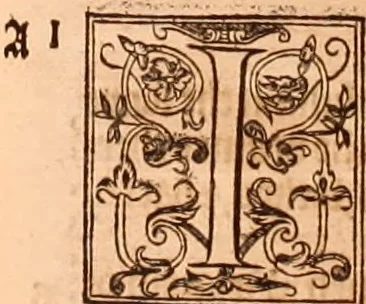 An illustration from The Holie Bible : conteynyng the Olde Testament and the Newe, 1568, leaf 622