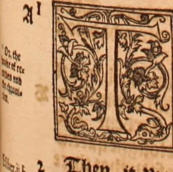An illustration from The Holie Bible : conteynyng the Olde Testament and the Newe, 1568, leaf 644