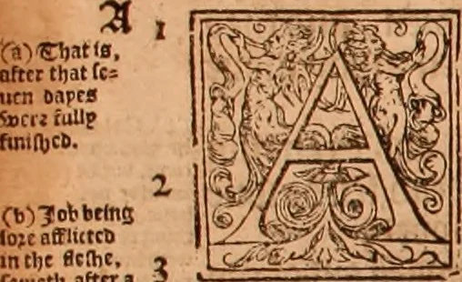 An illustration from The Holie Bible : conteynyng the Olde Testament and the Newe, 1568, leaf 651