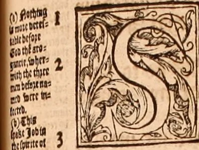 An illustration from The Holie Bible : conteynyng the Olde Testament and the Newe, 1568, leaf 658
