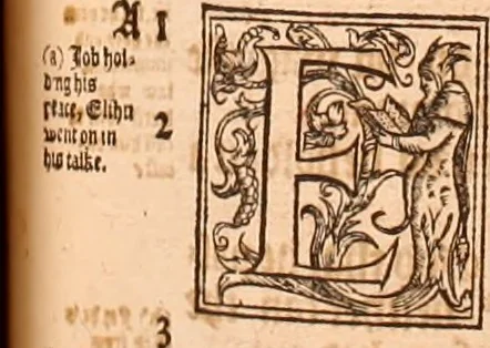 An illustration from The Holie Bible : conteynyng the Olde Testament and the Newe, 1568, leaf 676