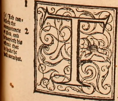 An illustration from The Holie Bible : conteynyng the Olde Testament and the Newe, 1568, leaf 682