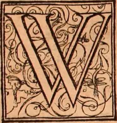 An illustration from The Holie Bible : conteynyng the Olde Testament and the Newe, 1568, leaf 711