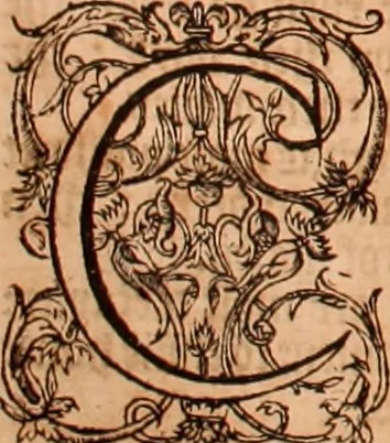 An illustration from The Holie Bible : conteynyng the Olde Testament and the Newe, 1568, leaf 741