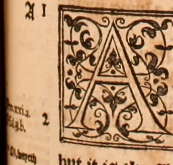 An illustration from The Holie Bible : conteynyng the Olde Testament and the Newe, 1568, leaf 786