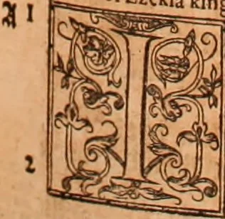 An illustration from The Holie Bible : conteynyng the Olde Testament and the Newe, 1568, leaf 794