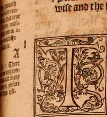 An illustration from The Holie Bible : conteynyng the Olde Testament and the Newe, 1568, leaf 802