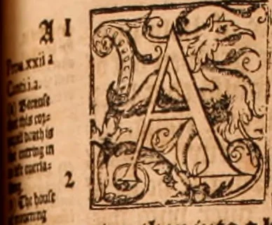 An illustration from The Holie Bible : conteynyng the Olde Testament and the Newe, 1568, leaf 806