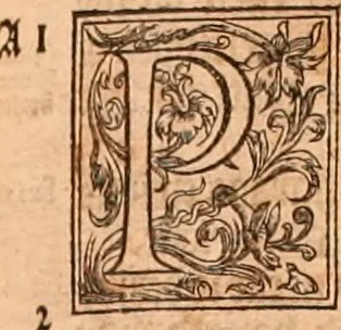 An illustration from The Holie Bible : conteynyng the Olde Testament and the Newe, 1568, leaf 810