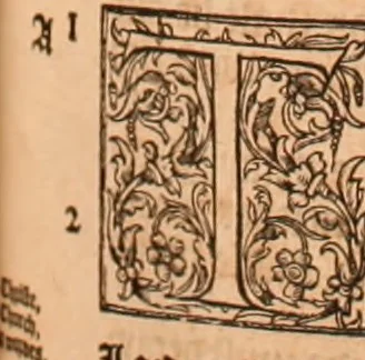 An illustration from The Holie Bible : conteynyng the Olde Testament and the Newe, 1568, leaf 818