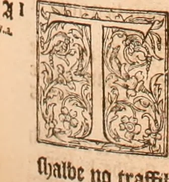 An illustration from The Holie Bible : conteynyng the Olde Testament and the Newe, 1568, leaf 836