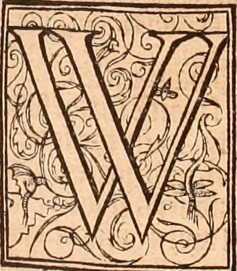 An illustration from The Holie Bible : conteynyng the Olde Testament and the Newe, 1568, leaf 846