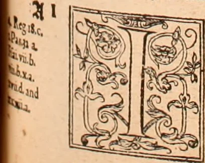 An illustration from The Holie Bible : conteynyng the Olde Testament and the Newe, 1568, leaf 848