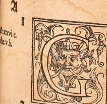 An illustration from The Holie Bible : conteynyng the Olde Testament and the Newe, 1568, leaf 872