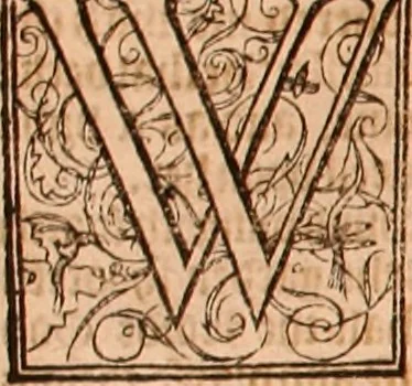 An illustration from The Holie Bible : conteynyng the Olde Testament and the Newe, 1568, leaf 875