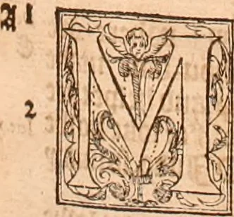 An illustration from The Holie Bible : conteynyng the Olde Testament and the Newe, 1568, leaf 880