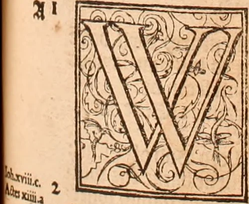 An illustration from The Holie Bible : conteynyng the Olde Testament and the Newe, 1568, leaf 902
