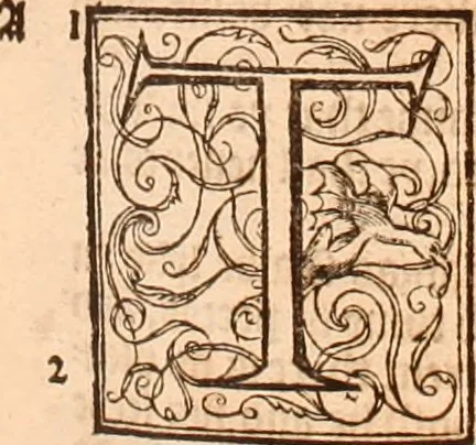 An illustration from The Holie Bible : conteynyng the Olde Testament and the Newe, 1568, leaf 904