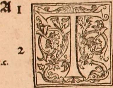 An illustration from The Holie Bible : conteynyng the Olde Testament and the Newe, 1568, leaf 915