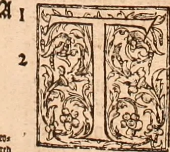 An illustration from The Holie Bible : conteynyng the Olde Testament and the Newe, 1568, leaf 972