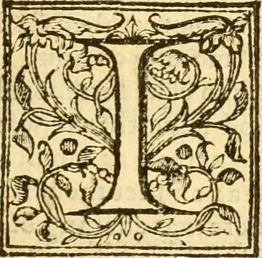 An illustration from The Holie Bible : faithfully translated into English, out of the authentical Latin. Diligently conferred with the Hebrew, Greeke, and other editions in divers languages ..., 1609, leaf 24