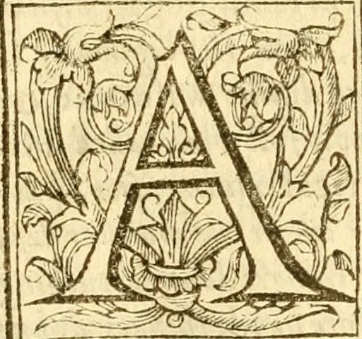 An illustration from The Holie Bible : faithfully translated into English, out of the authentical Latin. Diligently conferred with the Hebrew, Greeke, and other editions in divers languages ..., 1609, leaf 493