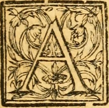 An illustration from The Holie Bible : faithfully translated into English, out of the authentical Latin. Diligently conferred with the Hebrew, Greeke, and other editions in divers languages ..., 1609, leaf 6