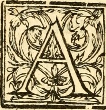 An illustration from The Holie Bible : faithfully translated into English, out of the authentical Latin. Diligently conferred with the Hebrew, Greeke, and other editions in divers languages ..., 1609, leaf 841