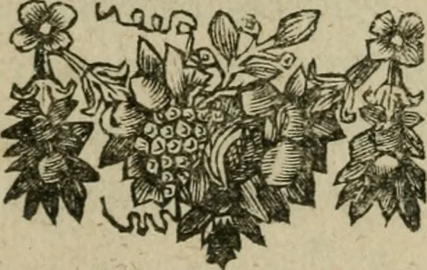 An illustration from Hollands heyll' en rampen ofte desselfs gelukk' en ongelukken : tegens malkanderen vertoond : in twee deelen ..., 1686, leaf 10