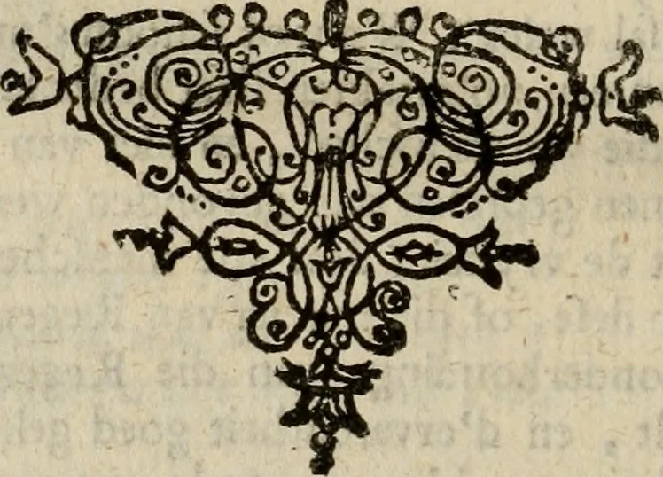 An illustration from Hollands heyll' en rampen ofte desselfs gelukk' en ongelukken : tegens malkanderen vertoond : in twee deelen ..., 1686, leaf 117