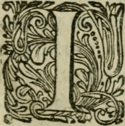 An illustration from Hollands heyll' en rampen ofte desselfs gelukk' en ongelukken : tegens malkanderen vertoond : in twee deelen ..., 1686, leaf 12