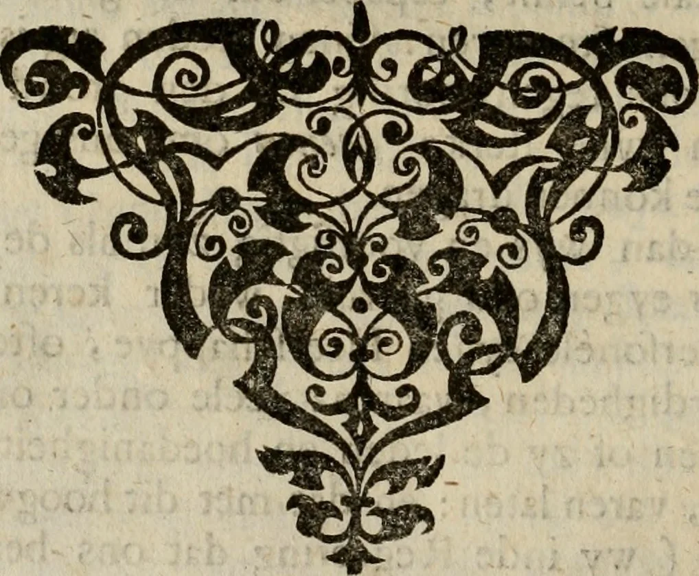 An illustration from Hollands heyll' en rampen ofte desselfs gelukk' en ongelukken : tegens malkanderen vertoond : in twee deelen ..., 1686, leaf 125