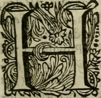 An illustration from Hollands heyll' en rampen ofte desselfs gelukk' en ongelukken : tegens malkanderen vertoond : in twee deelen ..., 1686, leaf 126