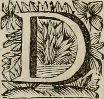 An illustration from Hollands heyll' en rampen ofte desselfs gelukk' en ongelukken : tegens malkanderen vertoond : in twee deelen ..., 1686, leaf 131