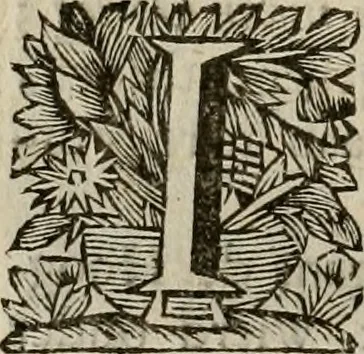 An illustration from Hollands heyll' en rampen ofte desselfs gelukk' en ongelukken : tegens malkanderen vertoond : in twee deelen ..., 1686, leaf 133