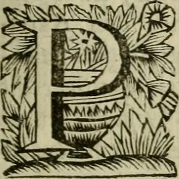 An illustration from Hollands heyll' en rampen ofte desselfs gelukk' en ongelukken : tegens malkanderen vertoond : in twee deelen ..., 1686, leaf 152