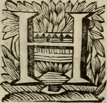 An illustration from Hollands heyll' en rampen ofte desselfs gelukk' en ongelukken : tegens malkanderen vertoond : in twee deelen ..., 1686, leaf 155