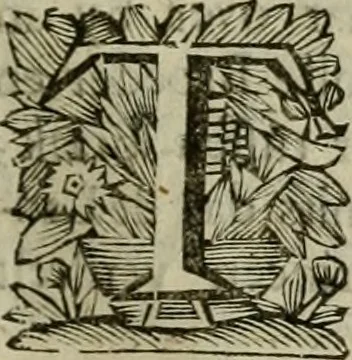 An illustration from Hollands heyll' en rampen ofte desselfs gelukk' en ongelukken : tegens malkanderen vertoond : in twee deelen ..., 1686, leaf 158