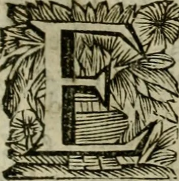 An illustration from Hollands heyll' en rampen ofte desselfs gelukk' en ongelukken : tegens malkanderen vertoond : in twee deelen ..., 1686, leaf 164