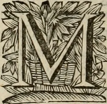 An illustration from Hollands heyll' en rampen ofte desselfs gelukk' en ongelukken : tegens malkanderen vertoond : in twee deelen ..., 1686, leaf 181