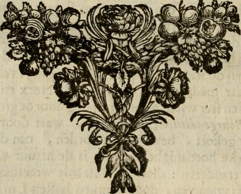 An illustration from Hollands heyll' en rampen ofte desselfs gelukk' en ongelukken : tegens malkanderen vertoond : in twee deelen ..., 1686, leaf 191