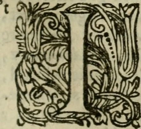An illustration from Hollands heyll' en rampen ofte desselfs gelukk' en ongelukken : tegens malkanderen vertoond : in twee deelen ..., 1686, leaf 192