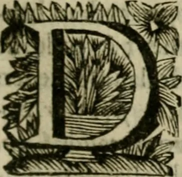An illustration from Hollands heyll' en rampen ofte desselfs gelukk' en ongelukken : tegens malkanderen vertoond : in twee deelen ..., 1686, leaf 202