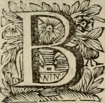An illustration from Hollands heyll' en rampen ofte desselfs gelukk' en ongelukken : tegens malkanderen vertoond : in twee deelen ..., 1686, leaf 213