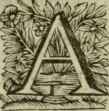An illustration from Hollands heyll' en rampen ofte desselfs gelukk' en ongelukken : tegens malkanderen vertoond : in twee deelen ..., 1686, leaf 218