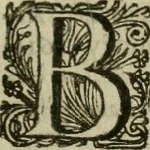An illustration from Hollands heyll' en rampen ofte desselfs gelukk' en ongelukken : tegens malkanderen vertoond : in twee deelen ..., 1686, leaf 226