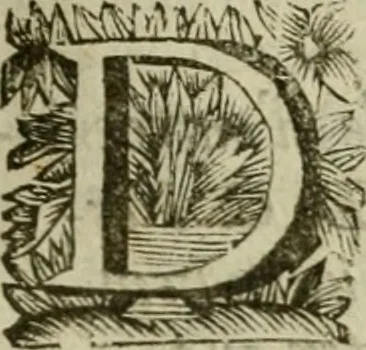 An illustration from Hollands heyll' en rampen ofte desselfs gelukk' en ongelukken : tegens malkanderen vertoond : in twee deelen ..., 1686, leaf 230