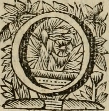 An illustration from Hollands heyll' en rampen ofte desselfs gelukk' en ongelukken : tegens malkanderen vertoond : in twee deelen ..., 1686, leaf 231